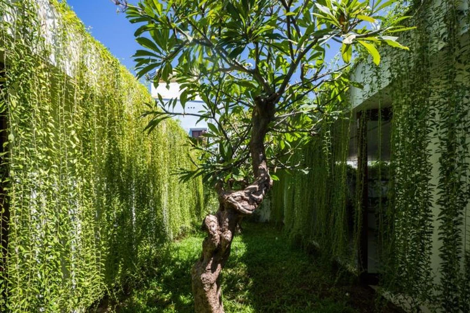 9 Desain Taman Minimalis Depan Rumah, Bikin Halaman Jadi Cantik