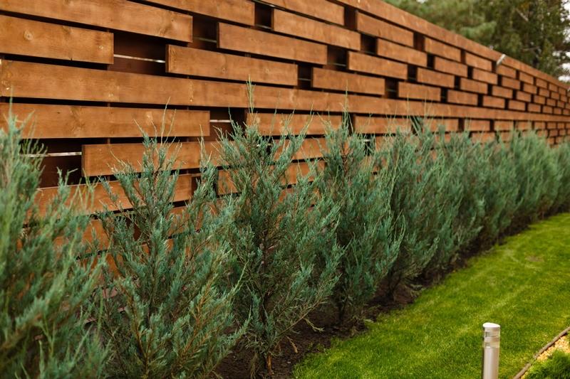 Rumah Tampil Unik dengan 9 Desain Pagar Kayu Minimalis Modern