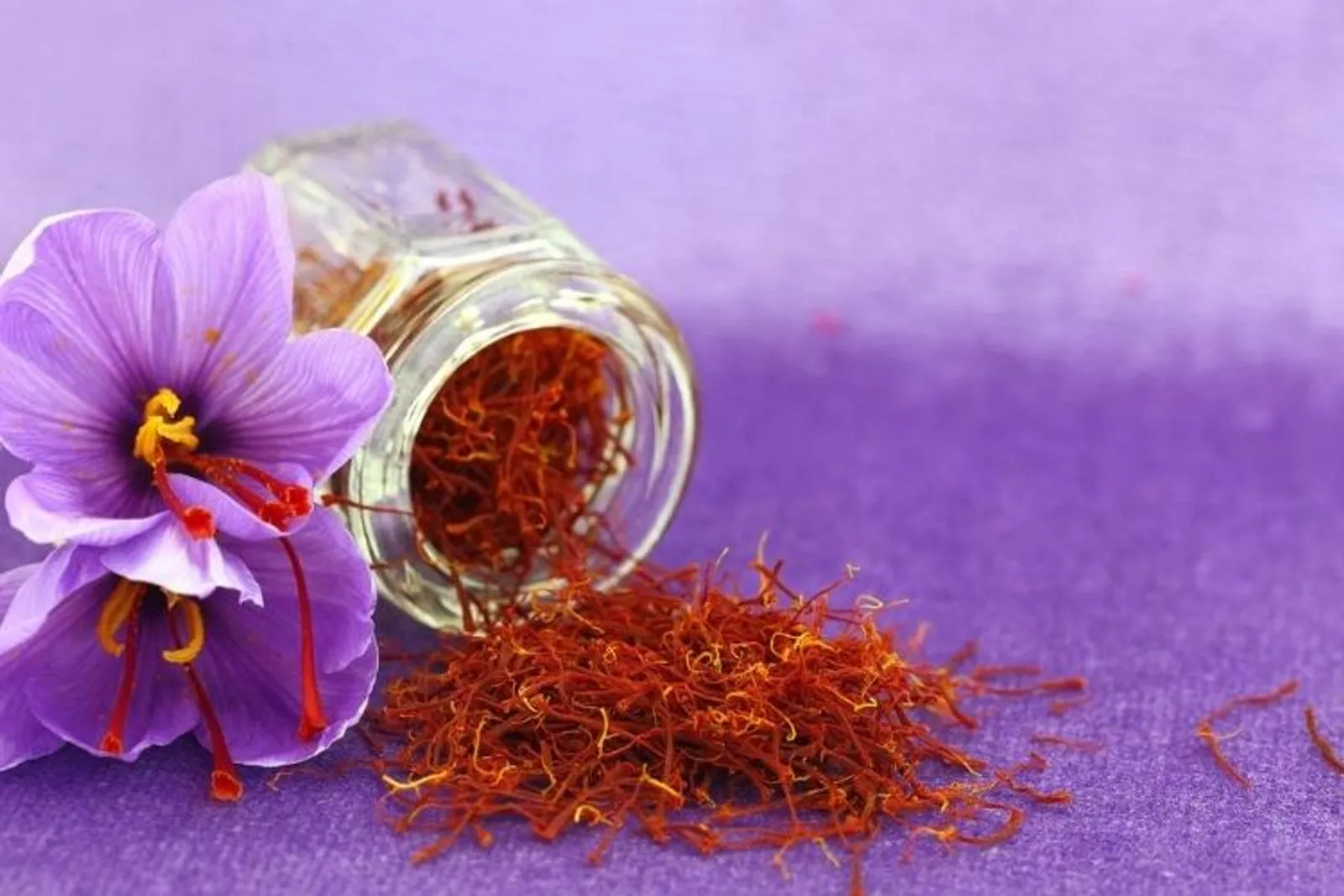 Baik untuk Kulit, Ini 5 Manfaat Kecantikan Bunga Saffron
