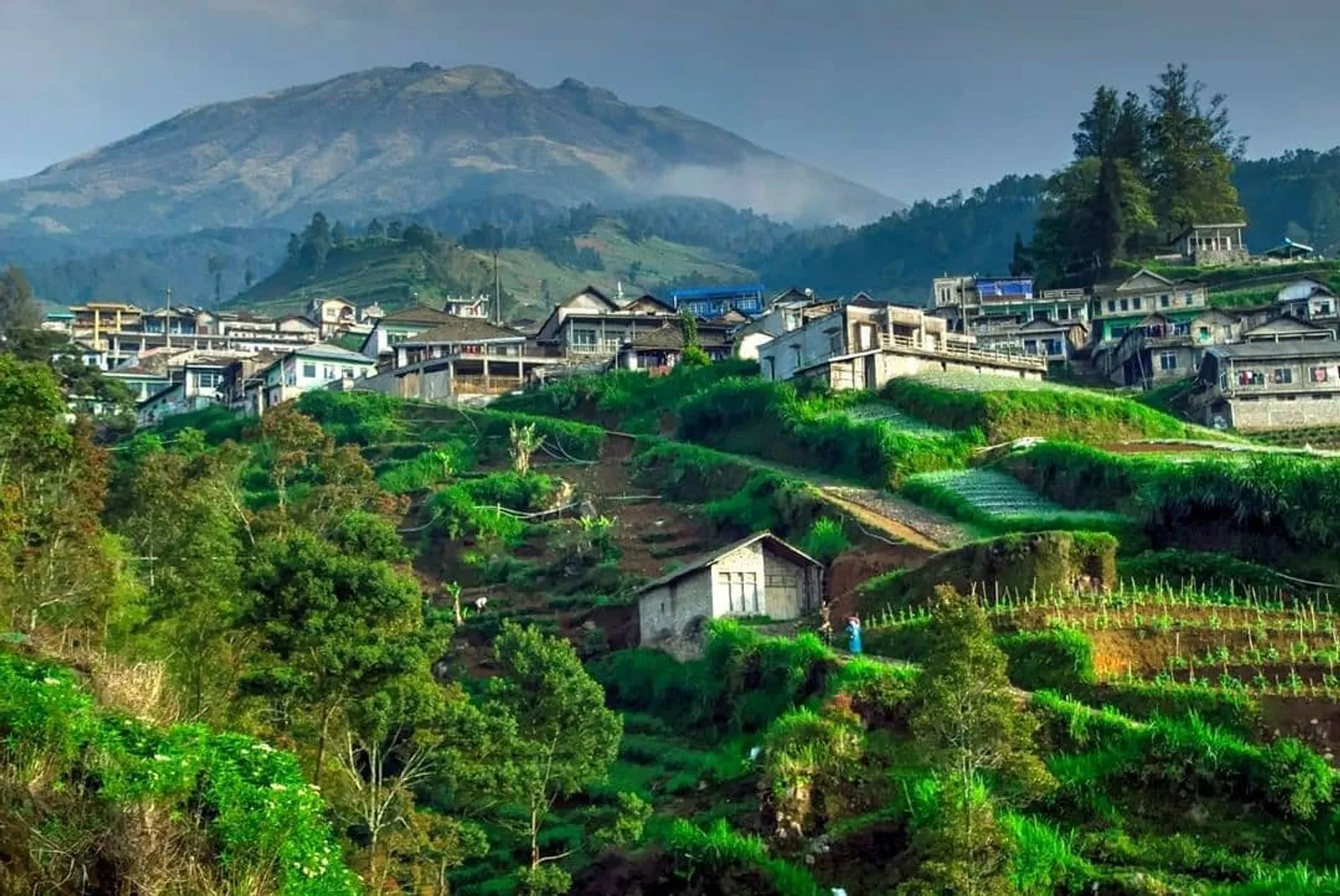 Viral Mirip Desa di Nepal, Dusun Indah ini Ada di Magelang Jawa Tengah