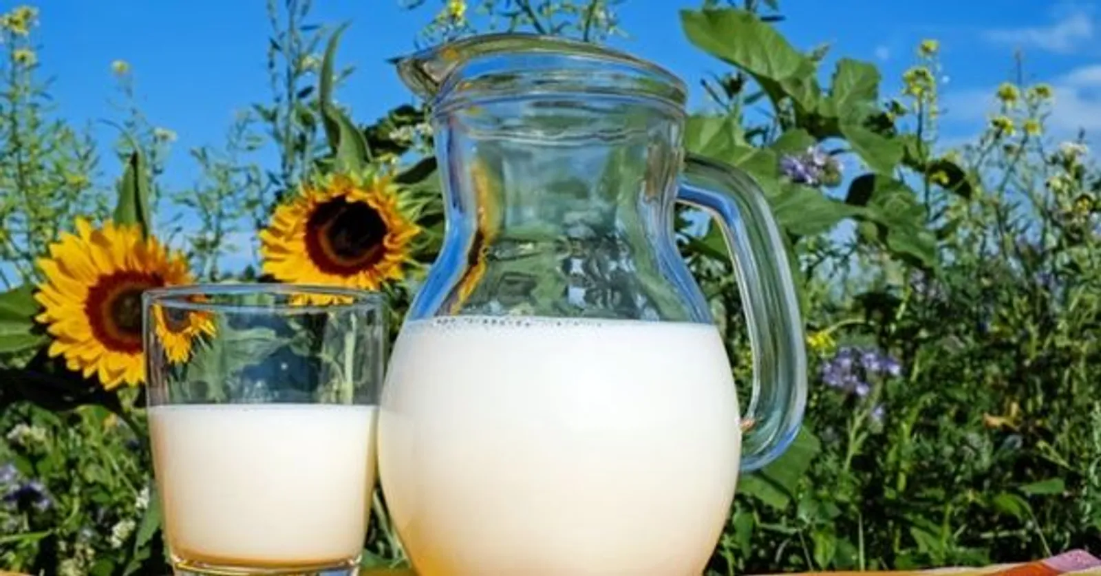 Bahkan Susu, Jangan Konsumsi 5 Jenis Makanan & Minuman Ini Saat Flu