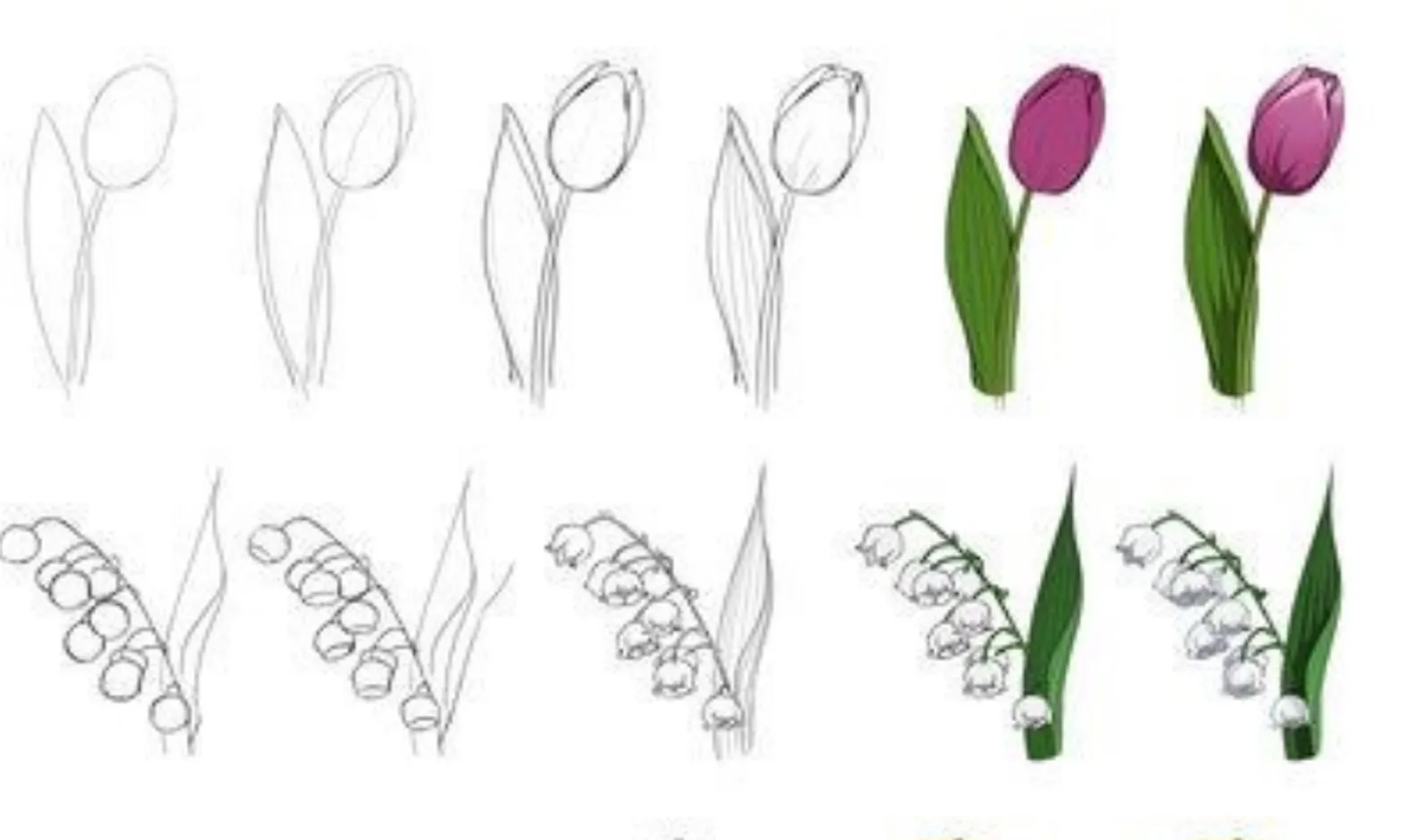 cara menggambar sketsa bunga mawar