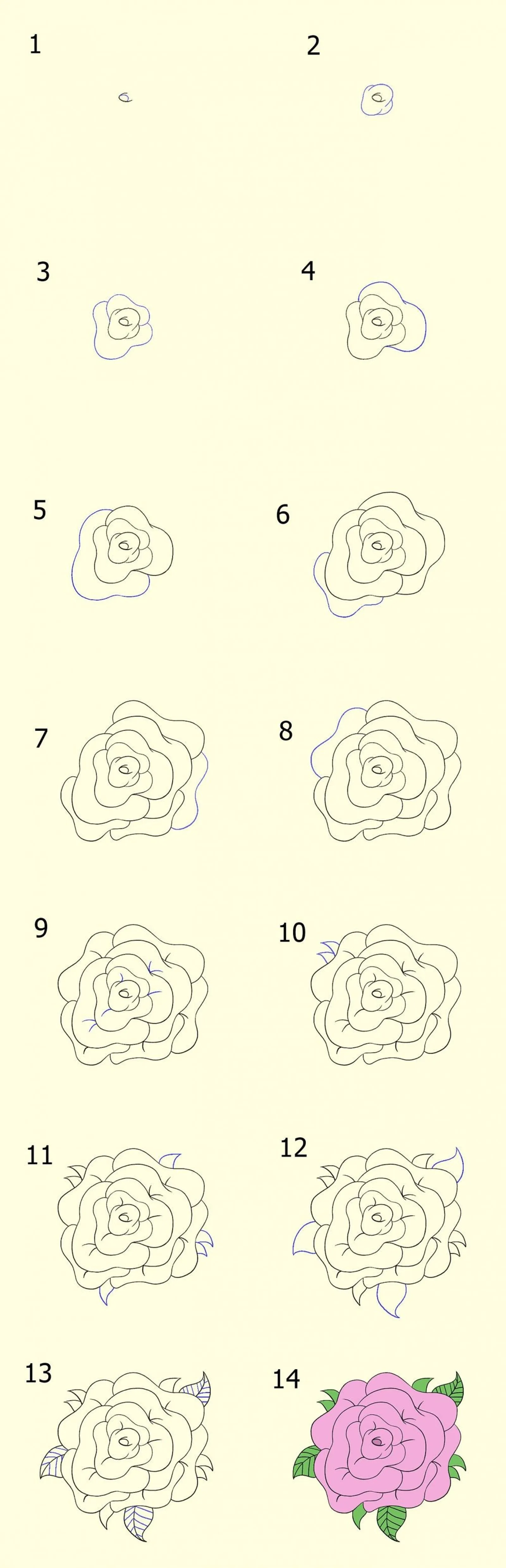 Anti Gagal, Ini 3 Cara Mudah Membuat Sketsa Bunga yang Indah