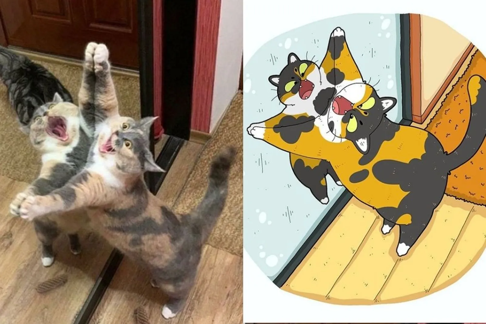Bikin Ngakak Banget, 13 Ilustrasi Tingkah Kucing Ini Super Menghibur!