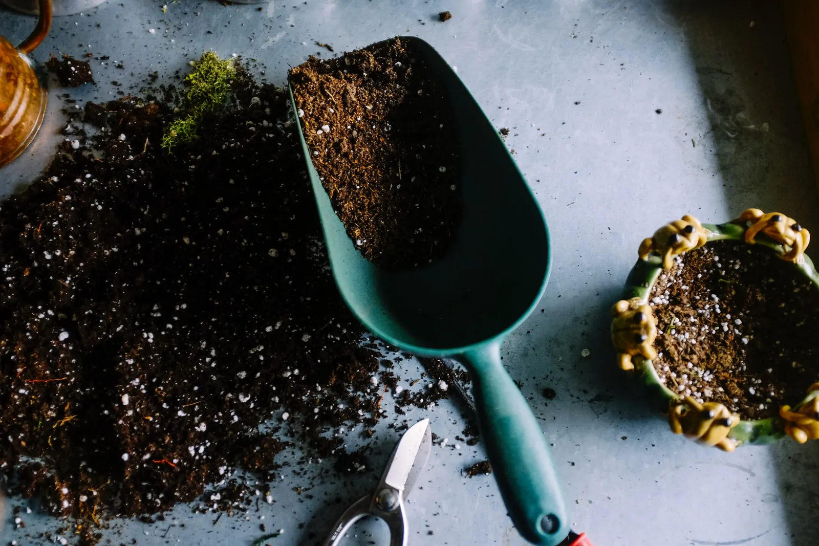 Sayang Bumi, 3 Cara Efektif Kurangi Limbah Makanan yang Bisa Kamu Coba