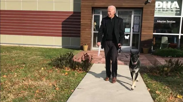 Dari Penampungan ke Gedung Putih, Ini Fakta Menarik Anjing Joe Biden