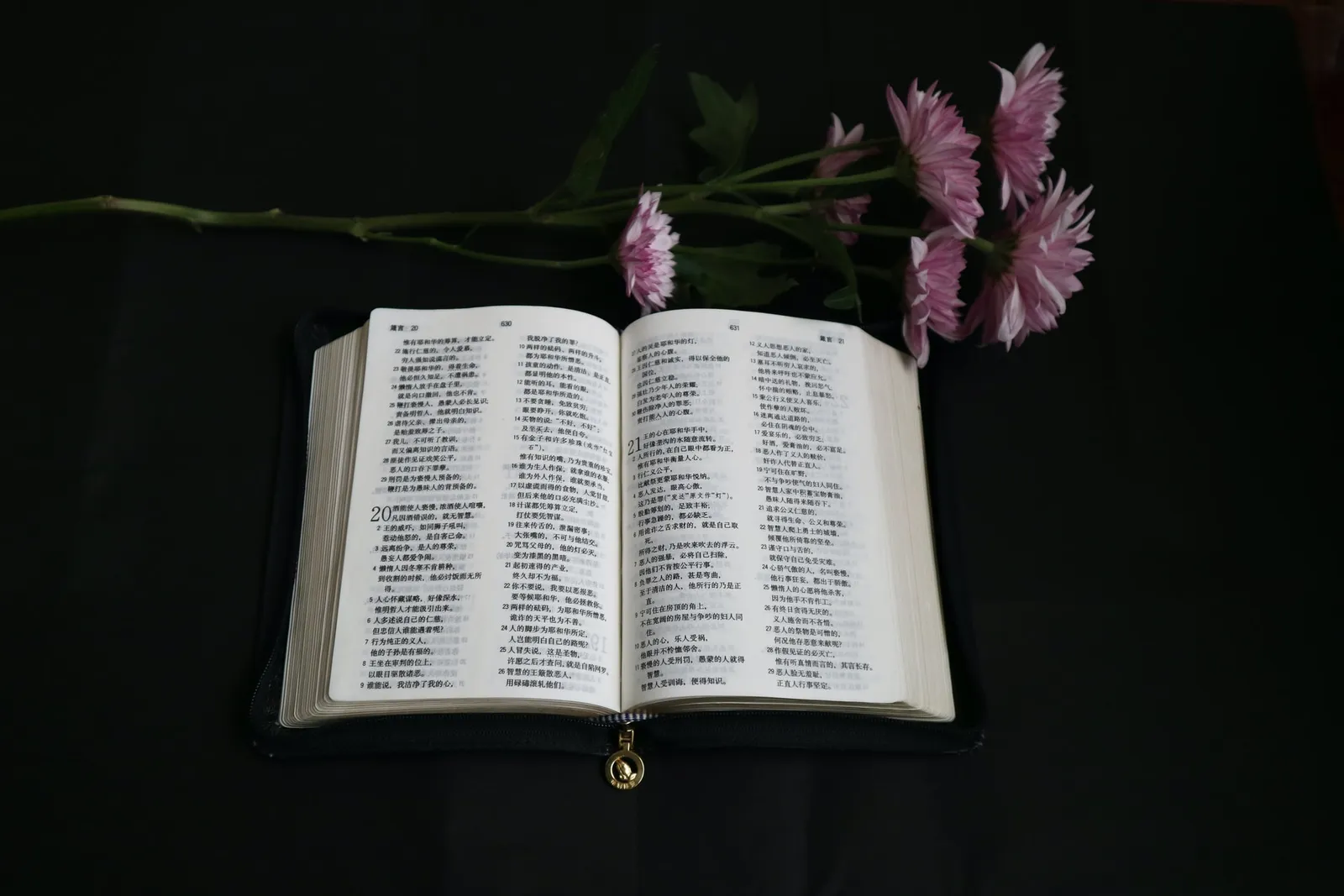 25 Ayat Alkitab Tentang Ulang Tahun Ini Membuat Kamu Bersyukur