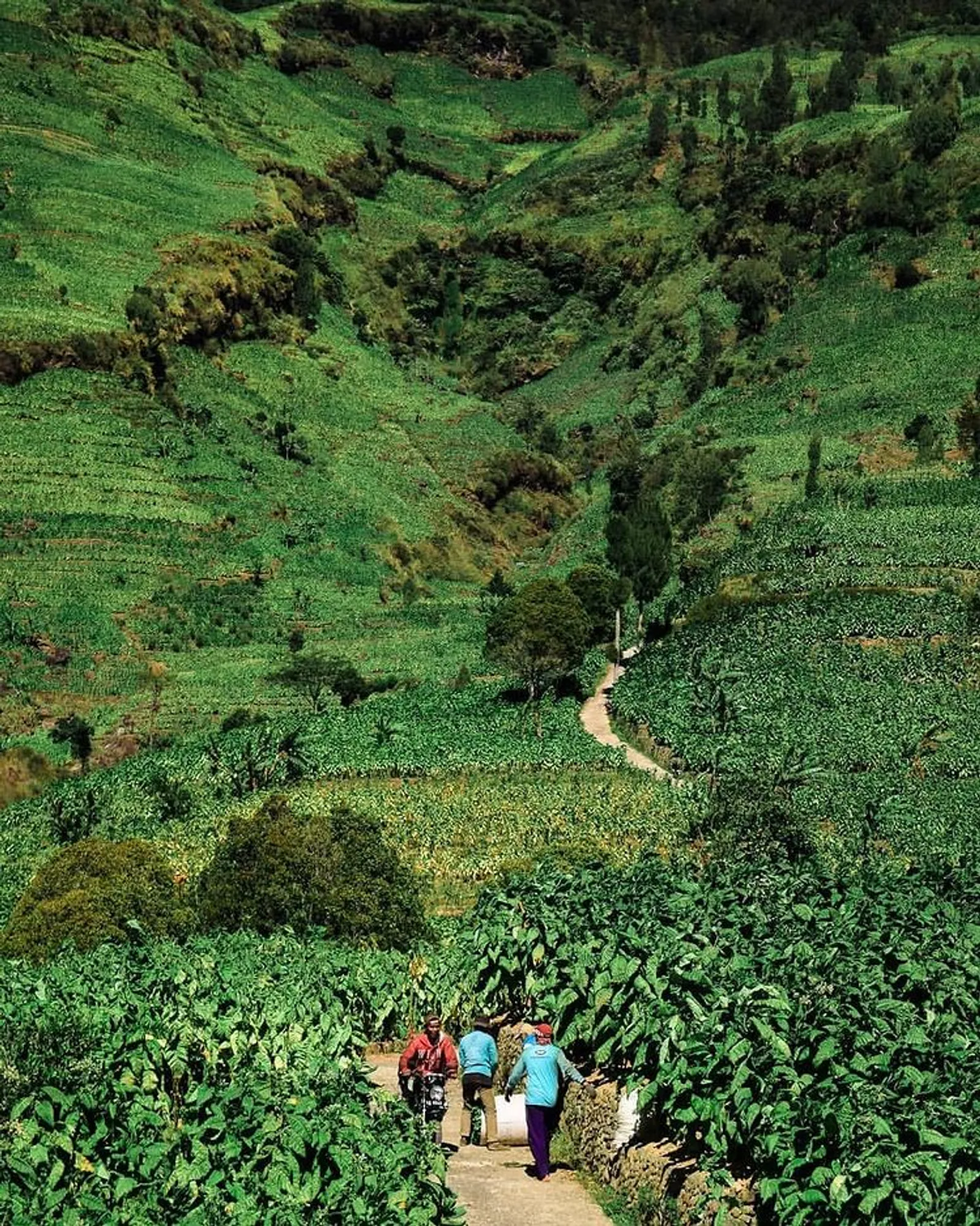 Pesona 7 Destinasi Tanah Jawa Ini Bikin Kamu Pengen Liburan