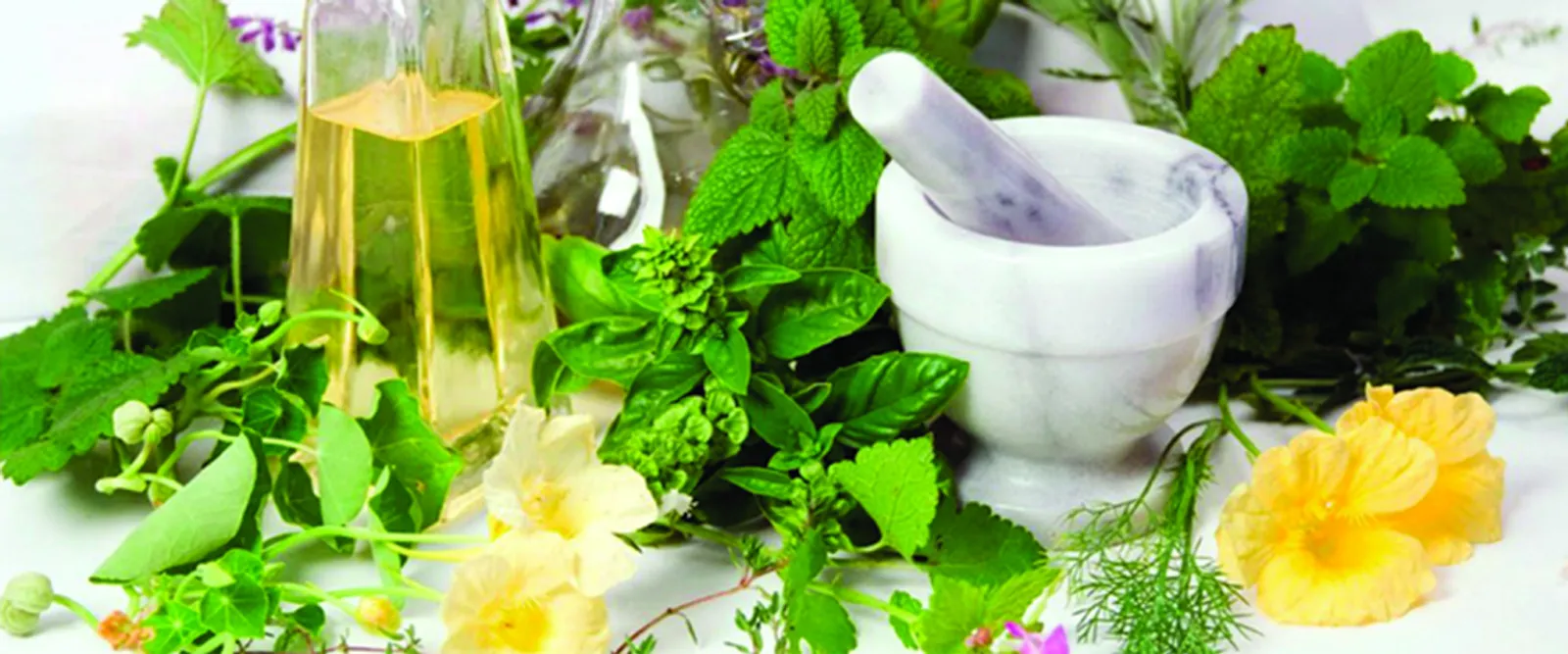 7 Jenis Tanaman Buah yang Bisa Jadi Obat Herbal
