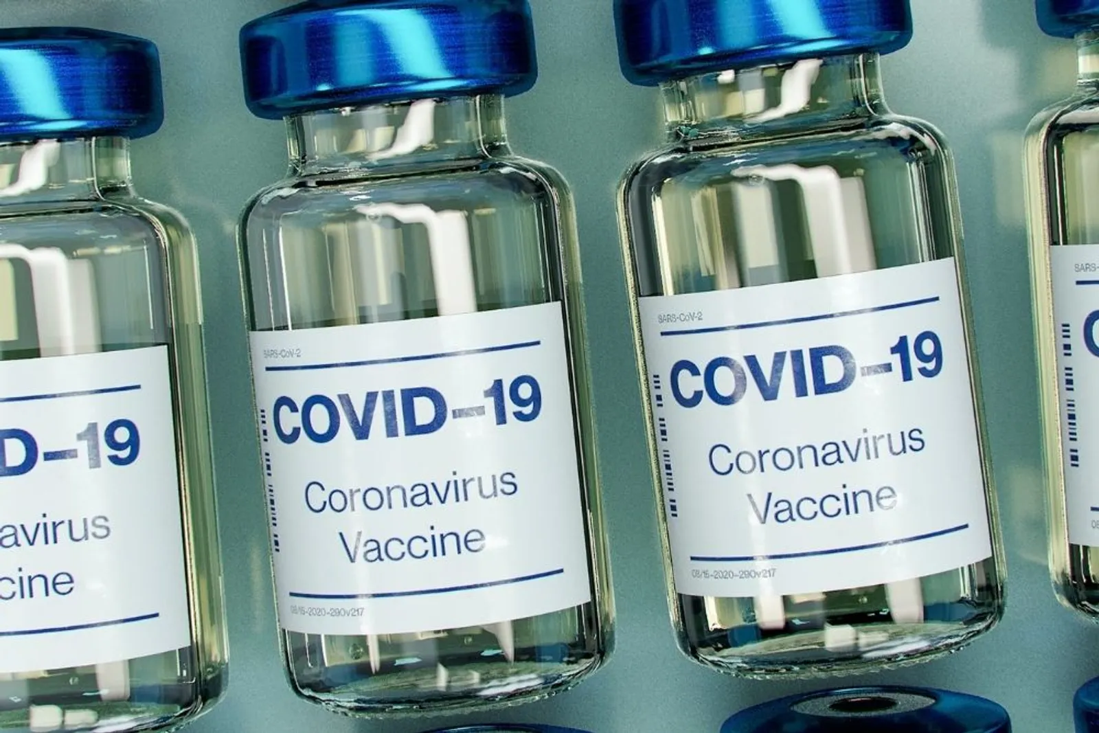 Vaksin COVID-19 Gratis untuk Masyarakat Indonesia, Siapa yang Pertama?