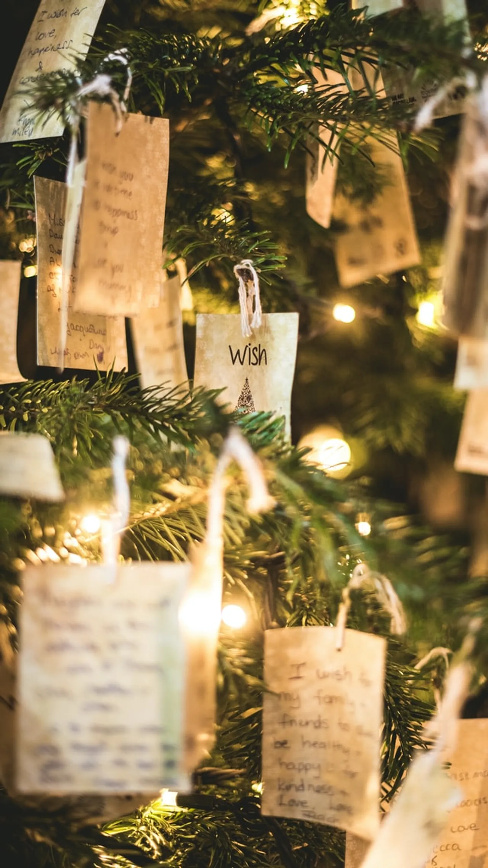 Kenapa Natal Identik Akan Pohon Cemara dan Sinterklas? Ini Sejarahnya