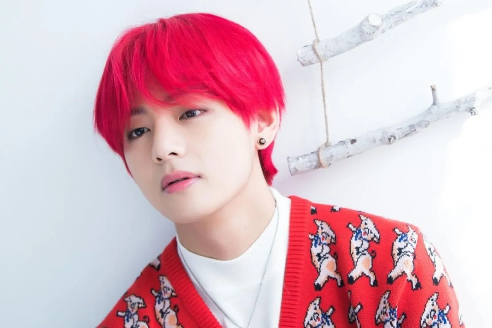 9 Idol Kpop yang Paling Memukau dengan Rambut Merah, Bikin Membara! 