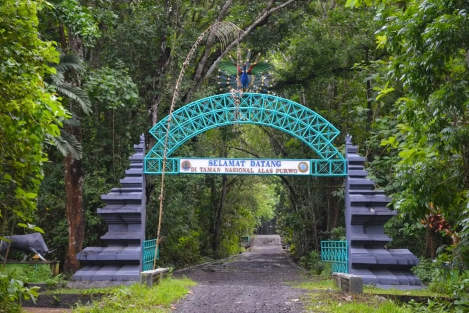 5 Kisah Mistis Alas Purwo, Hutan Tertua di Pulau Jawa