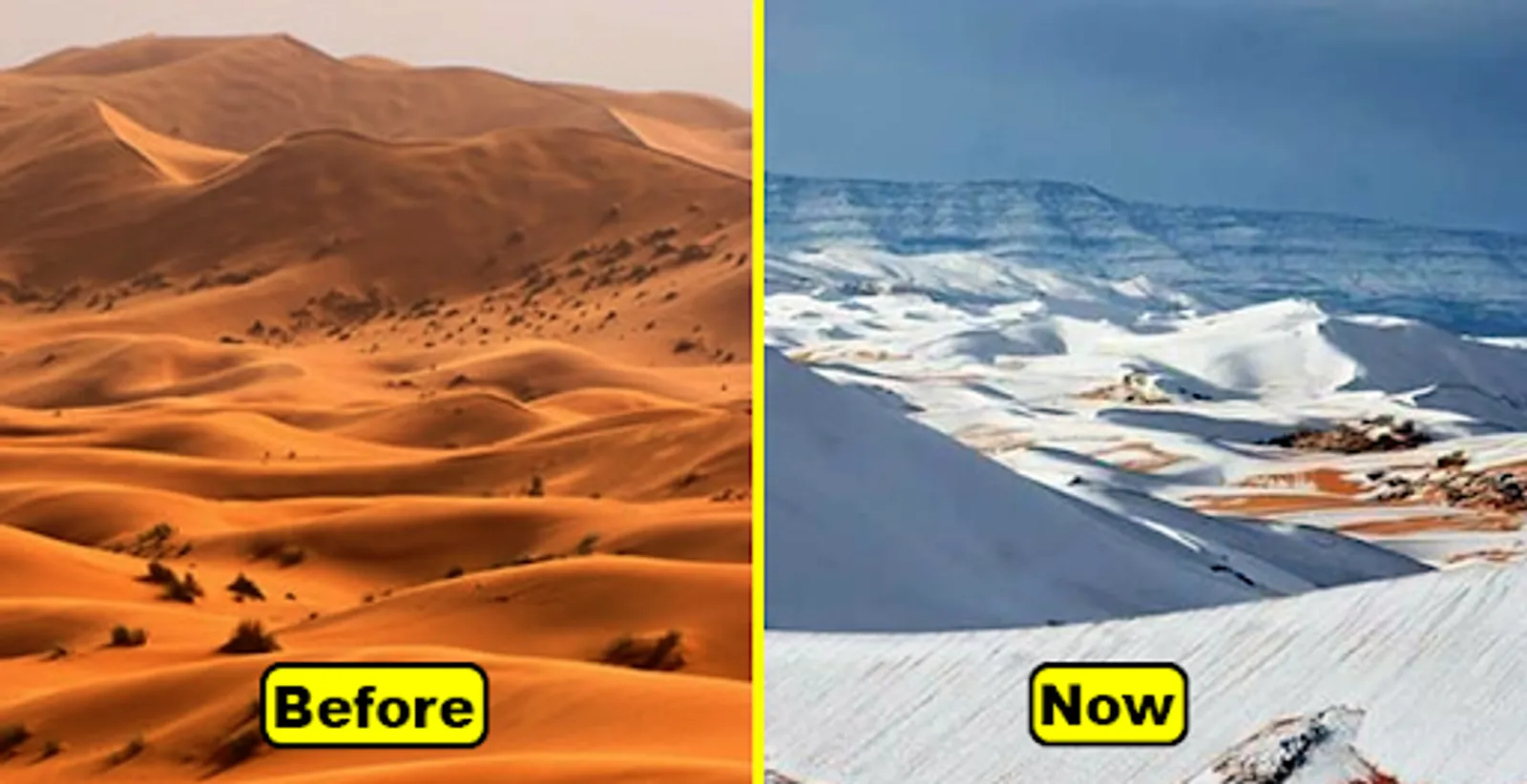 Gurun Sahara Bersalju! Fenomena Perubahan Iklim yang Langka