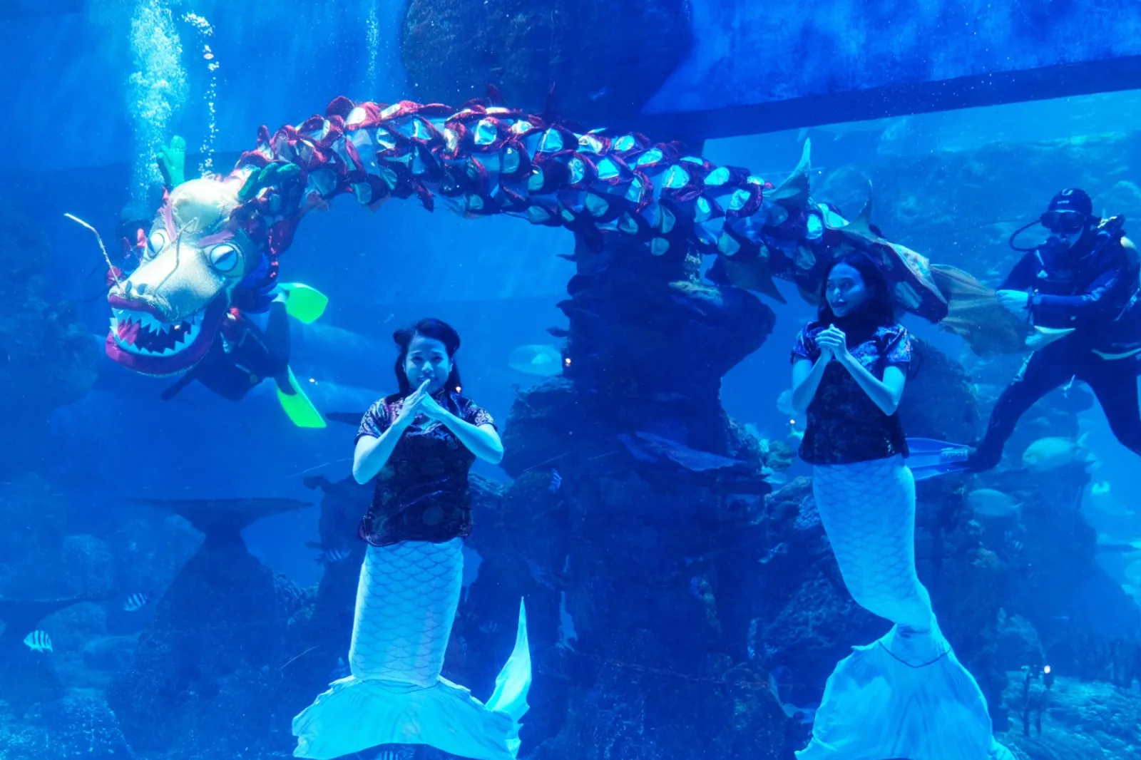 Imlek Under Water Persembahan Spesial dari Jakarta Aquarium