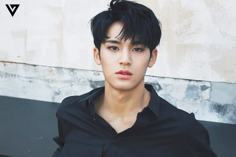 Temui Titik Terang, 5 Fakta Isu Bullying Mingyu SEVENTEEN 