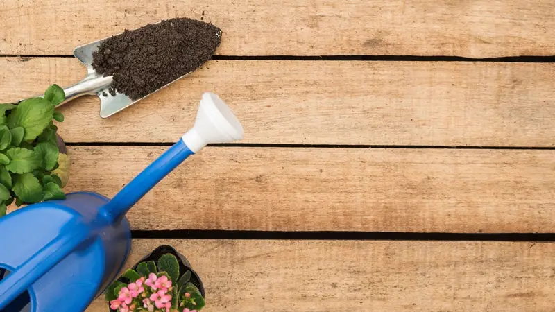 Cara Membuat Pupuk Organik Cair Dari Sampah Dapur di Rumah 