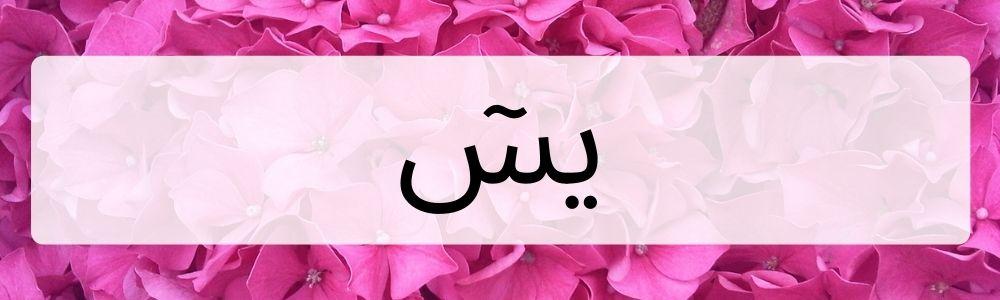 Bacaan Surat Yasin Arab, Latin, dan Terjemahannya Lengkap