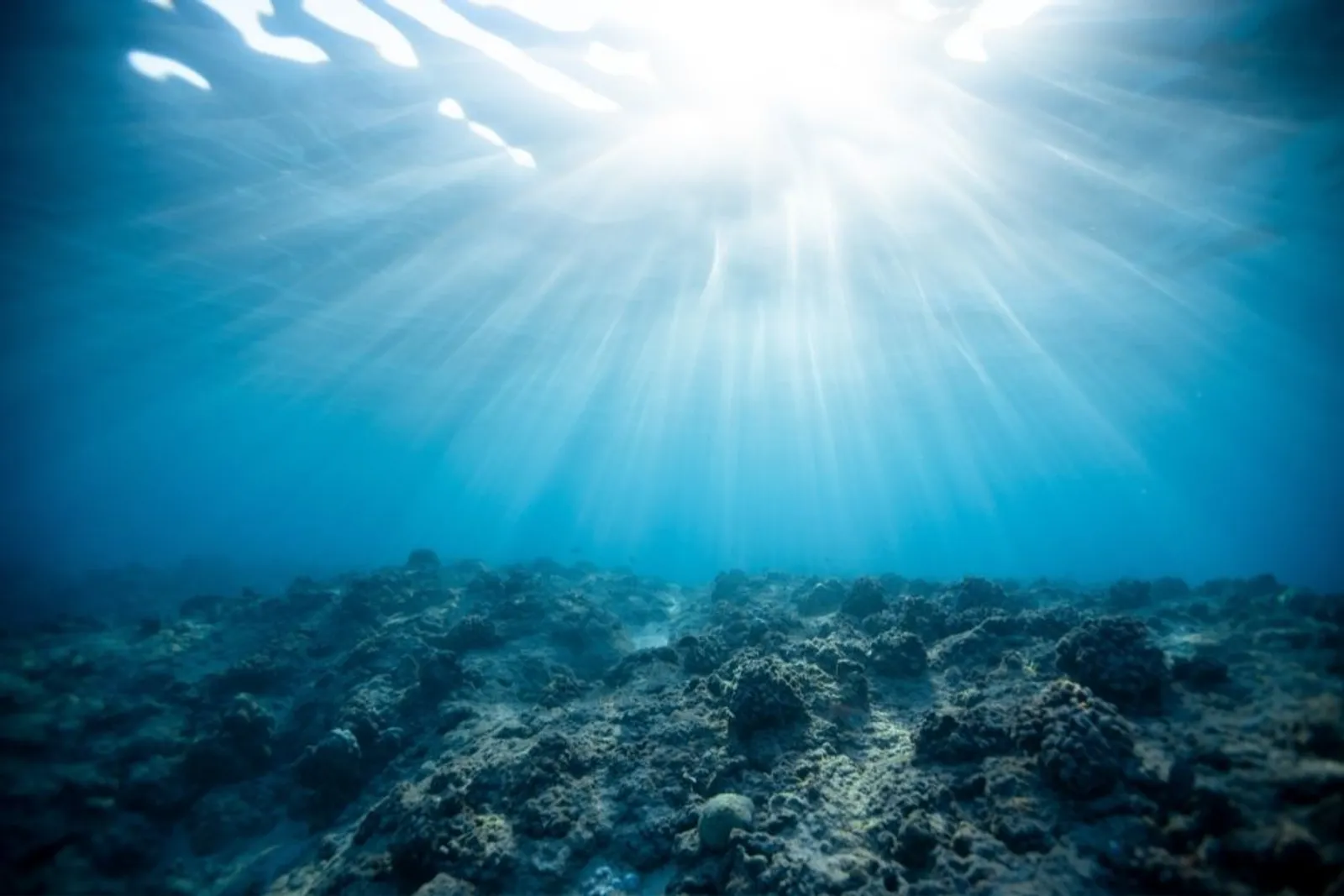 13 Fakta Menakjubkan Tentang Laut yang Tidak Kamu Sangka