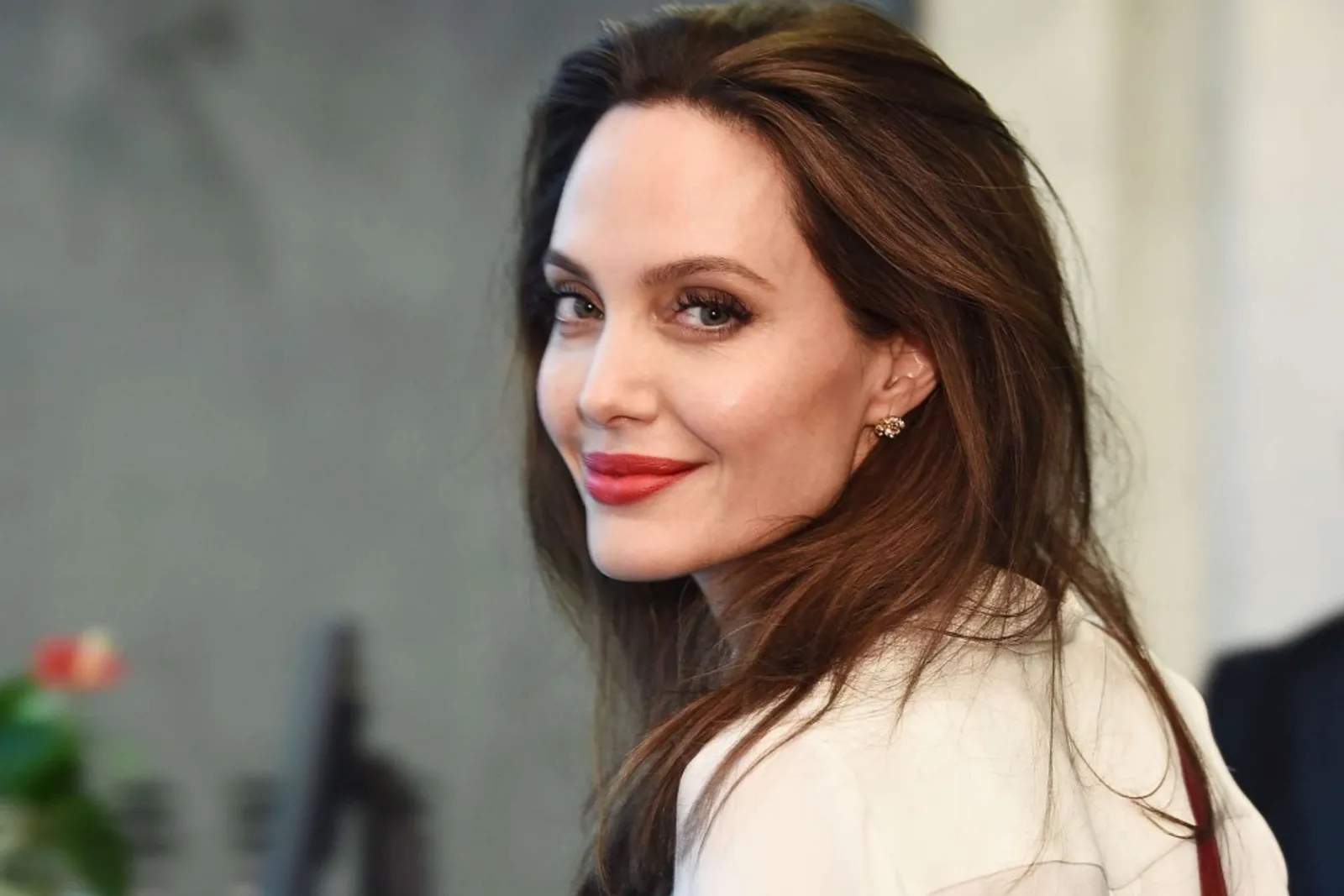 Dikabarkan Balikan, Ini 4 Fakta Hubungan Angelina Jolie & Mantan Suami