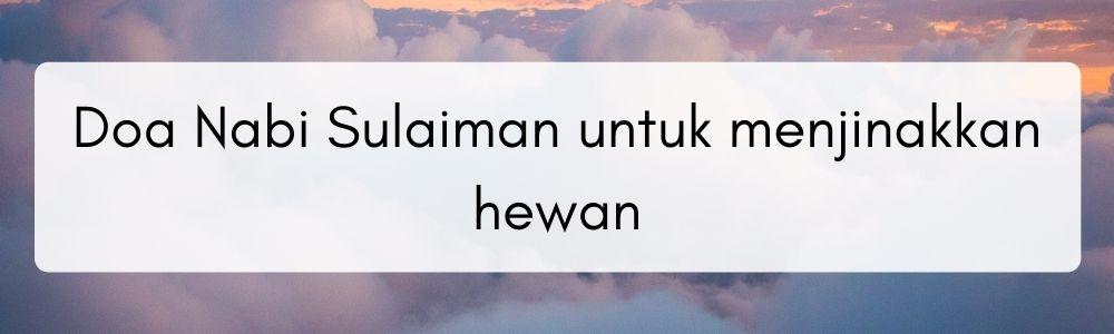 Rangkaian Doa Nabi Sulaiman untuk Amalan Sehari-hari