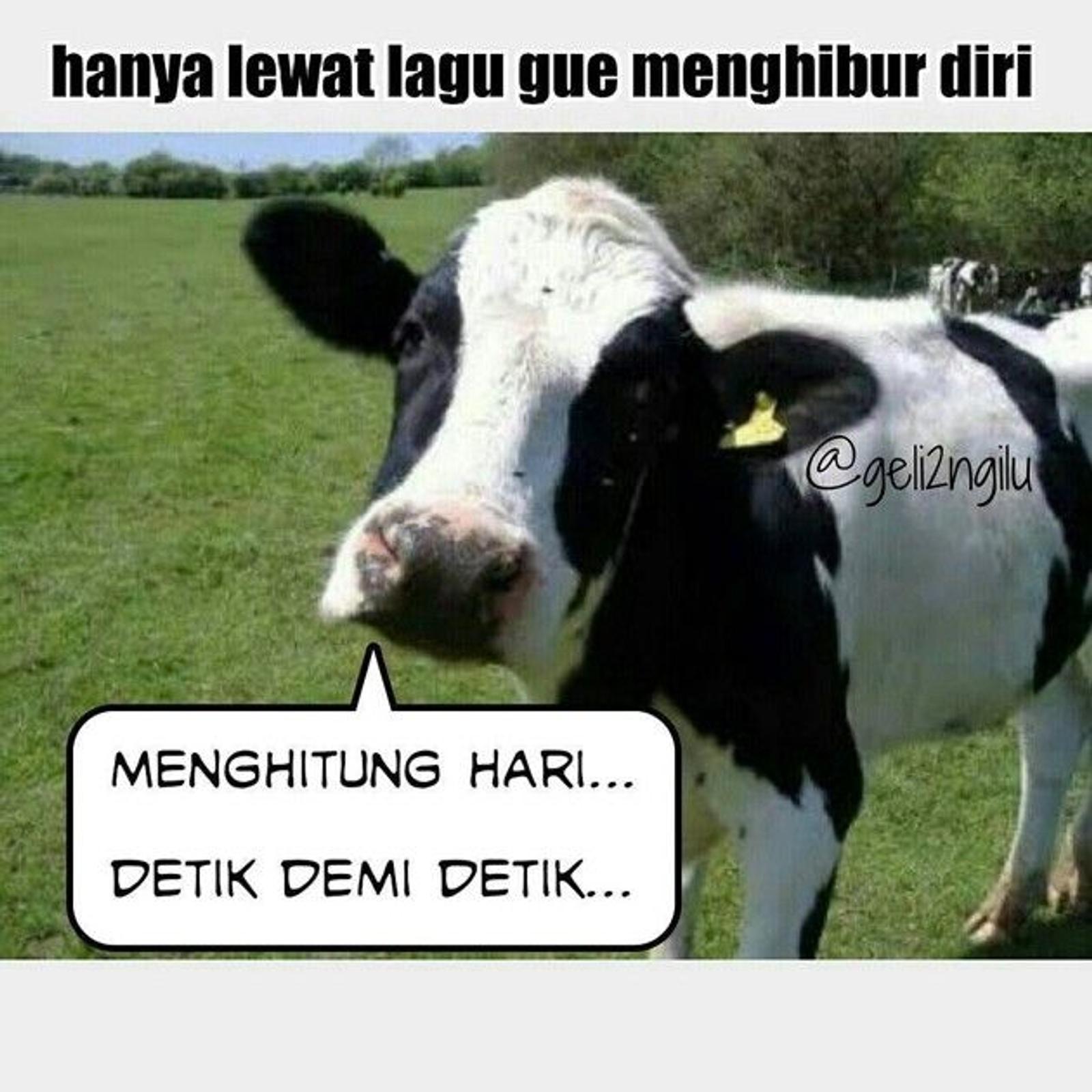 16 Meme Idul Adha Kocak Tentang Hewan Kurban