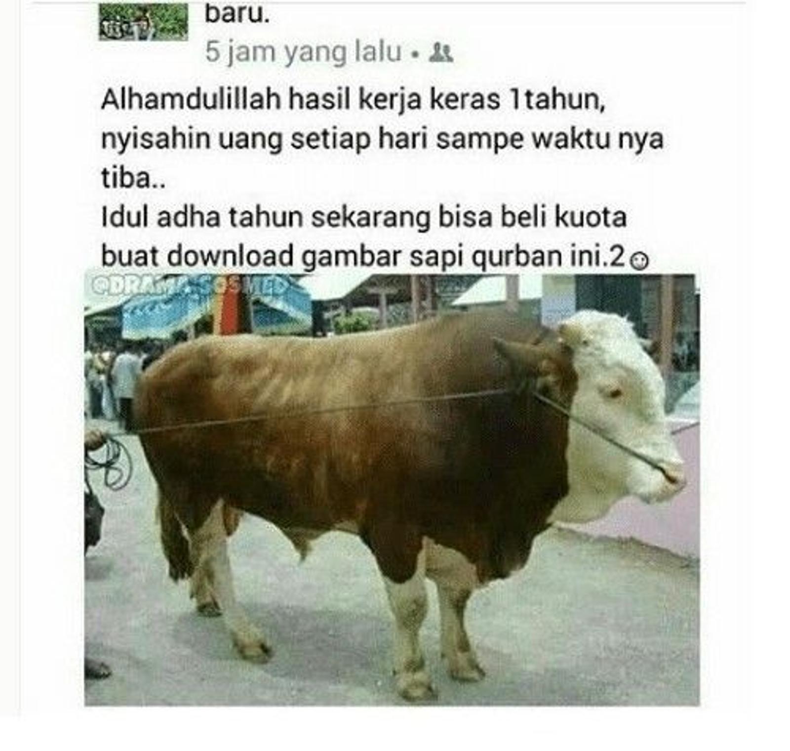 16 Meme Idul Adha Kocak Tentang Hewan Kurban