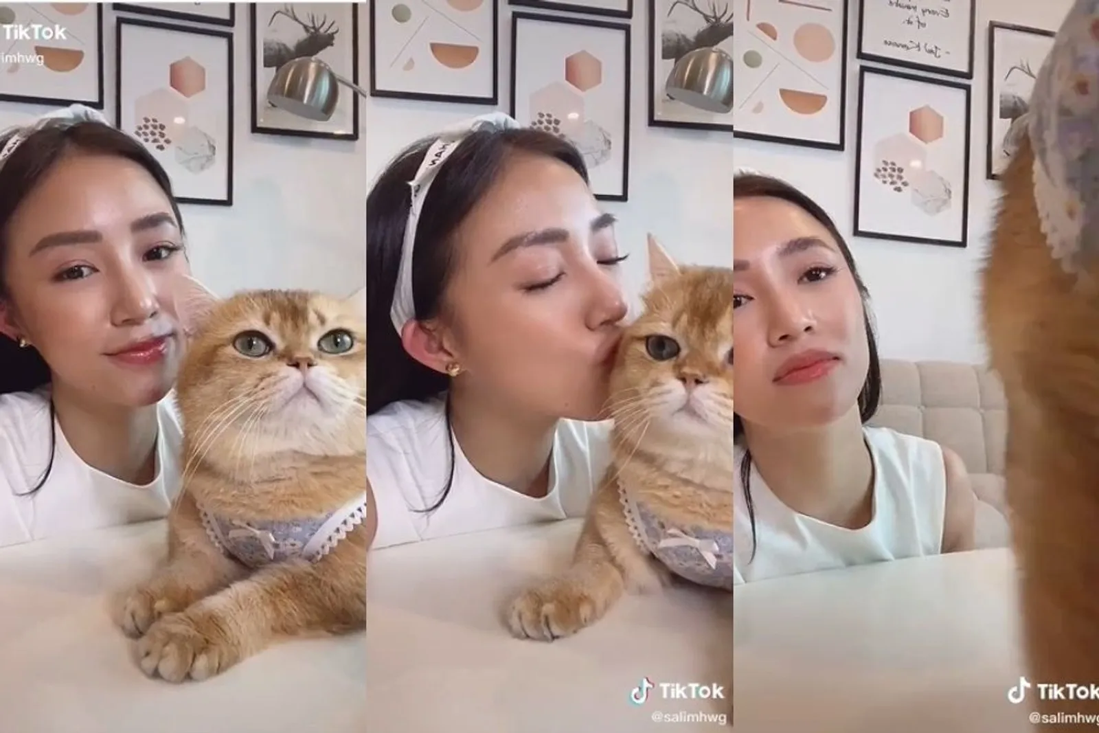 13 TikTok Challenge: Kiss Your Pet, yang Bikin Ngakak Pol!