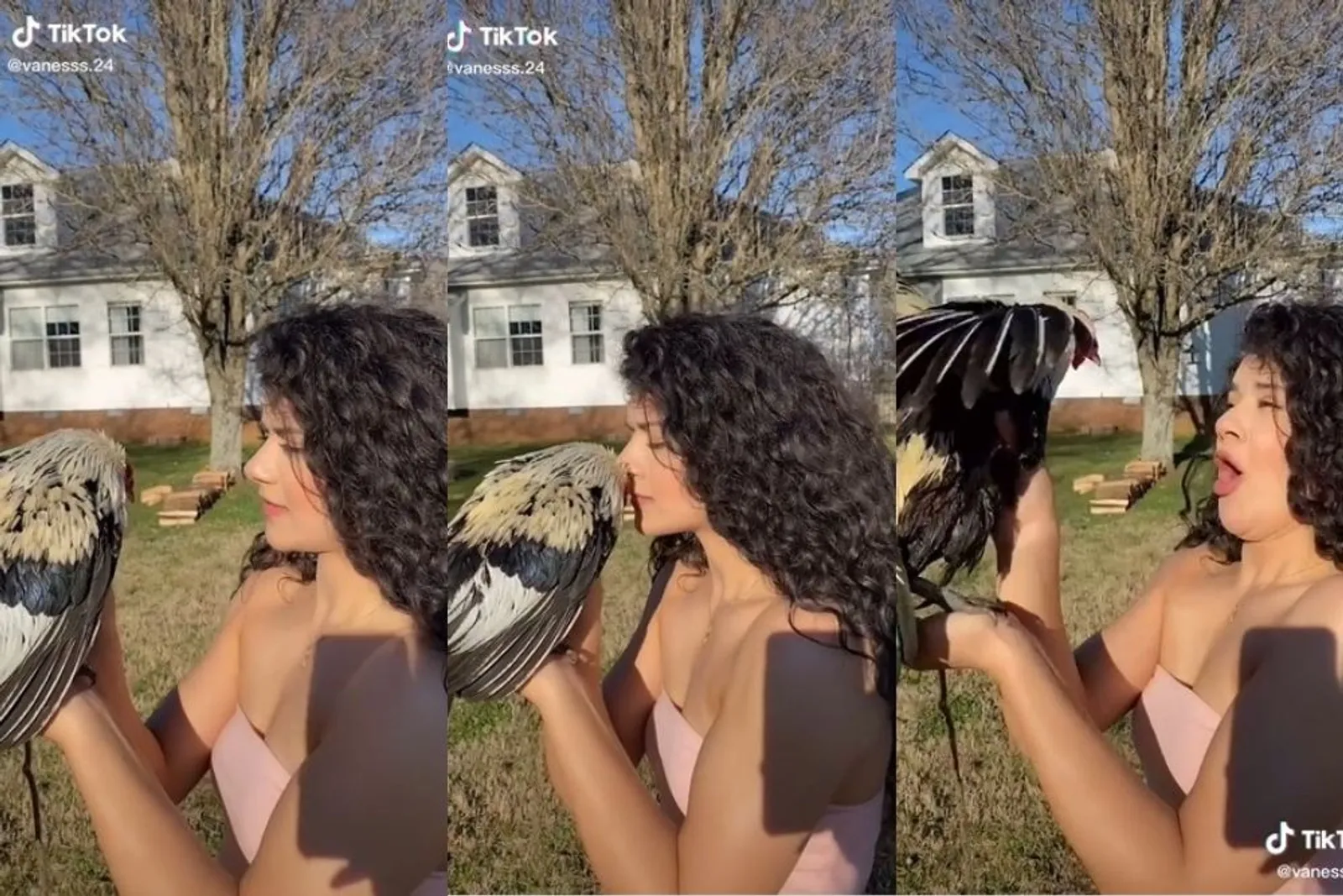 13 TikTok Challenge: Kiss Your Pet, yang Bikin Ngakak Pol!