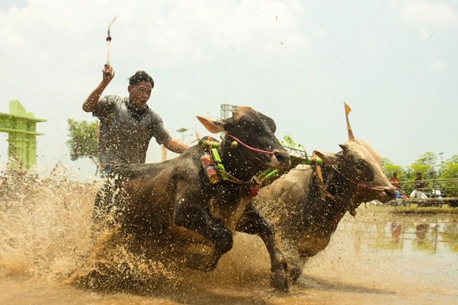 Selain Pencak Silat, Ini 8 Olahraga Tradisional Asli Indonesia