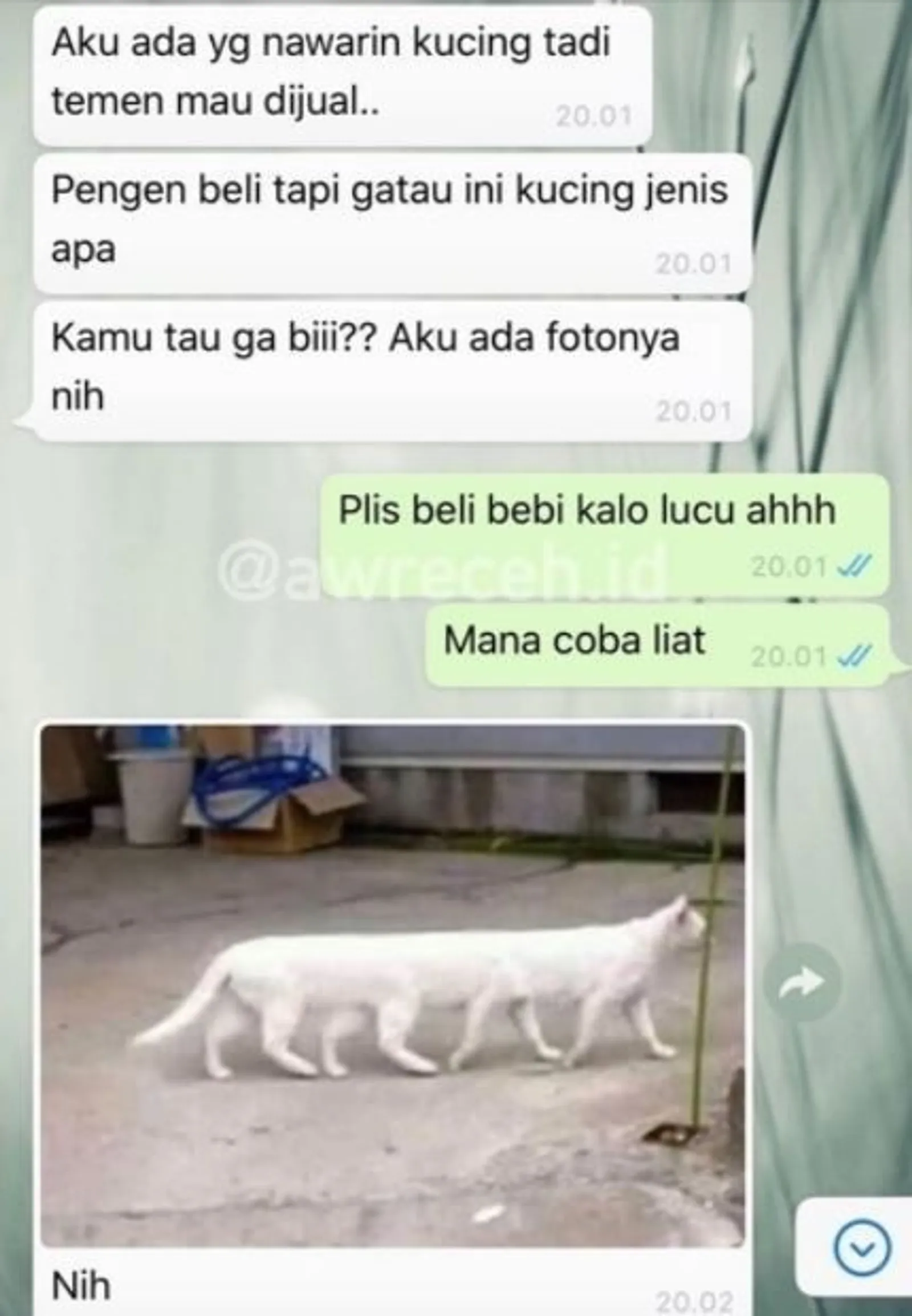 11 Chat Teman Lagi Butuh Bantuan Ini Bikin Jengkel, Emosi Jiwa!