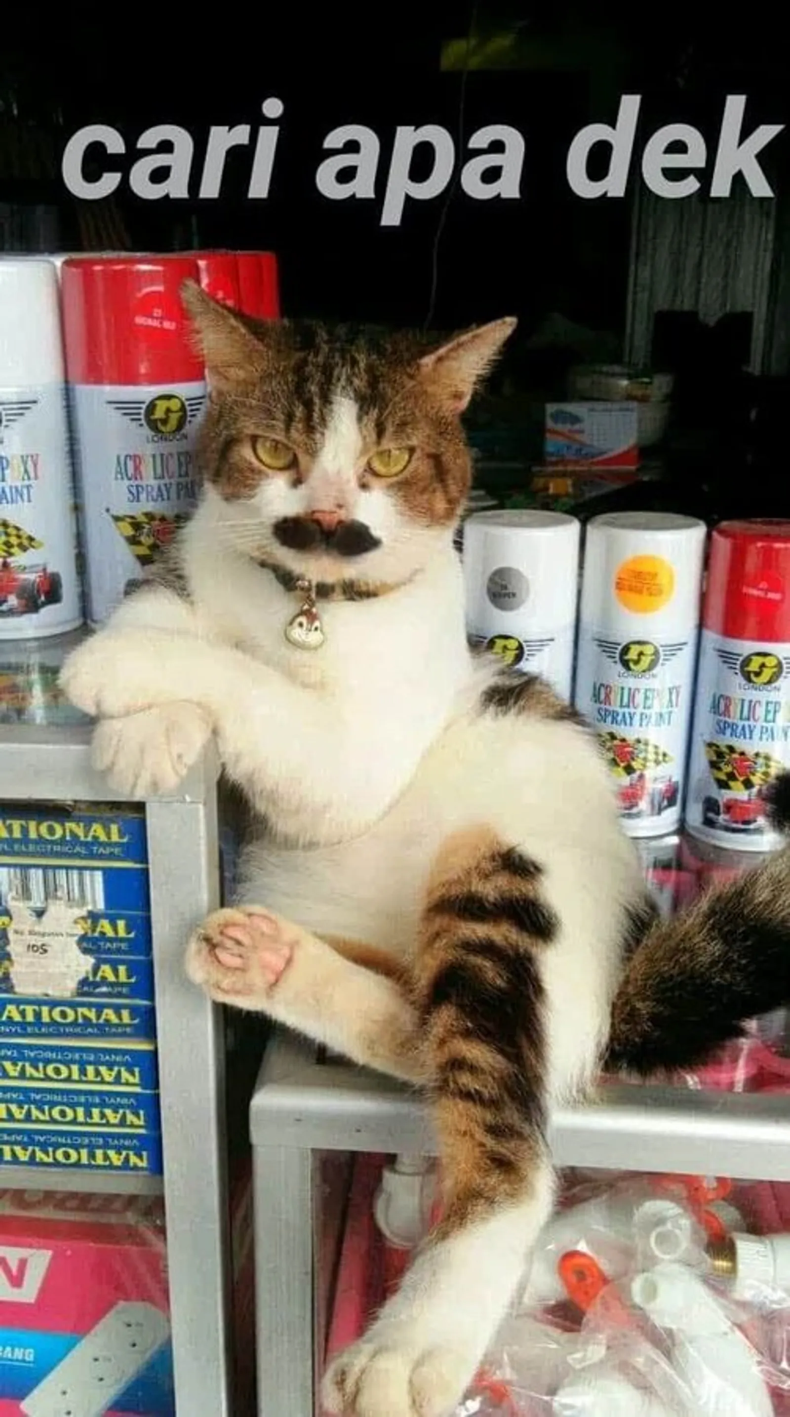 12 Foto Ini Menjadi Bukti Patung Kucing Maneki Neko Bisa Hidup!