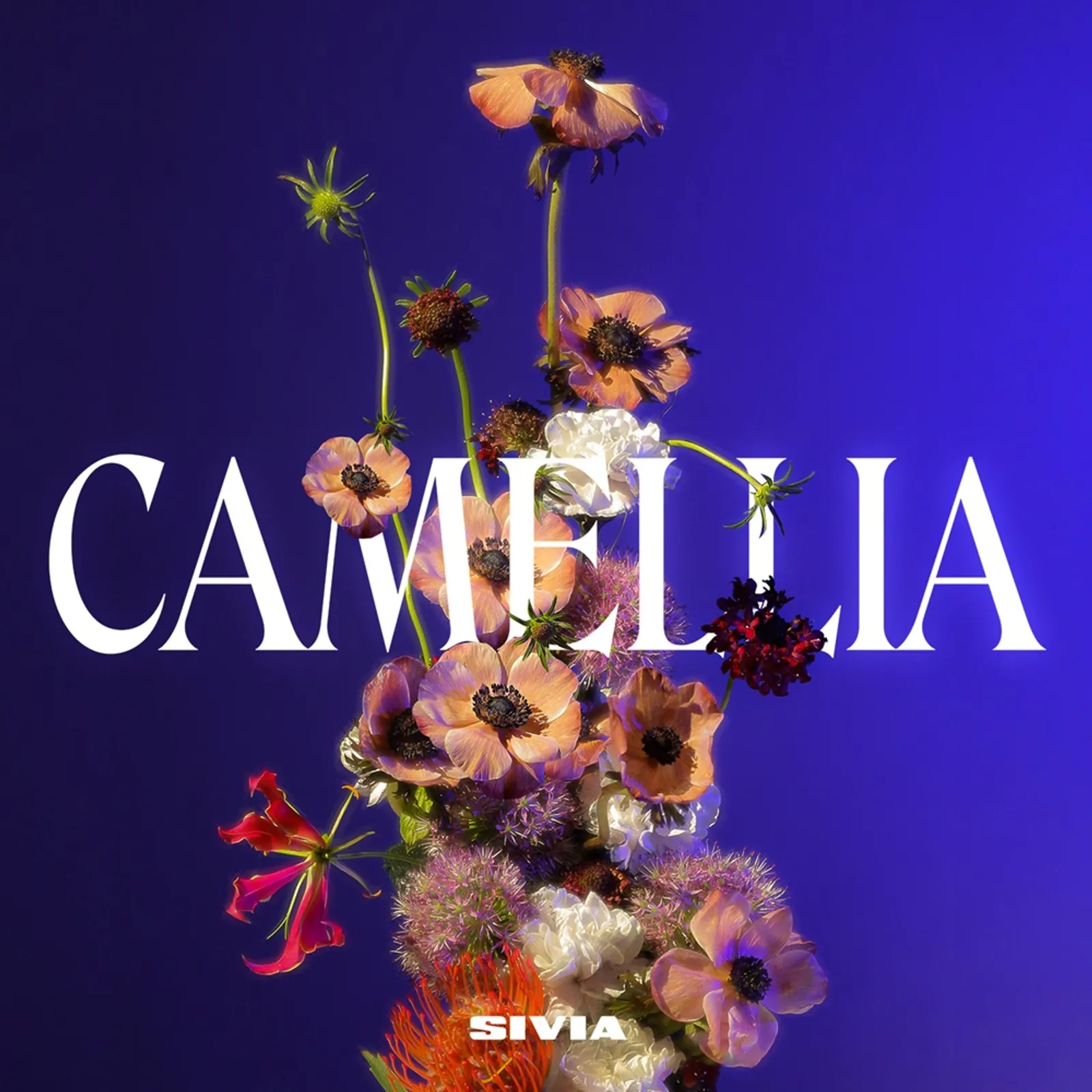 Lebih Kalem, 'Camellia', Menjadi Album Kasmaran Sivia Azizah