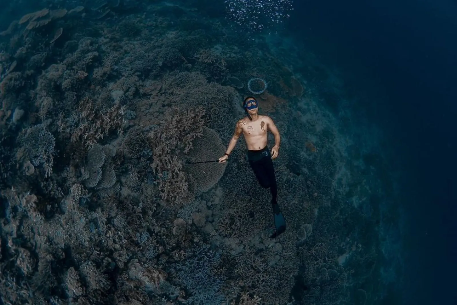 Hobi Free Diving, 9 Potret Keren Dikta 'Yovie and Nuno' di Bawah Laut