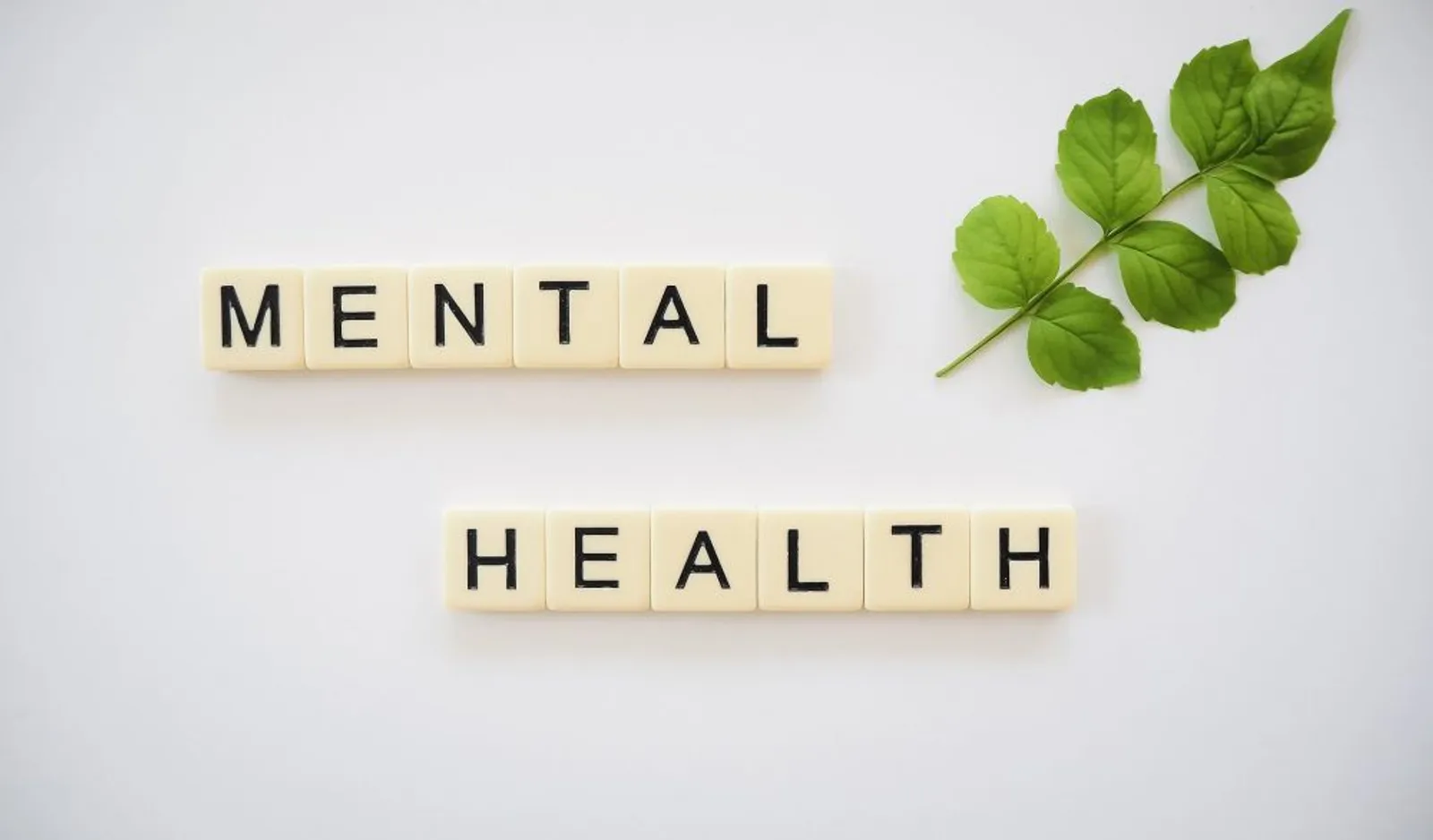 Survei Kesehatan Mental di RI: Mayoritas Kesepian dan Ingin Bunuh Diri