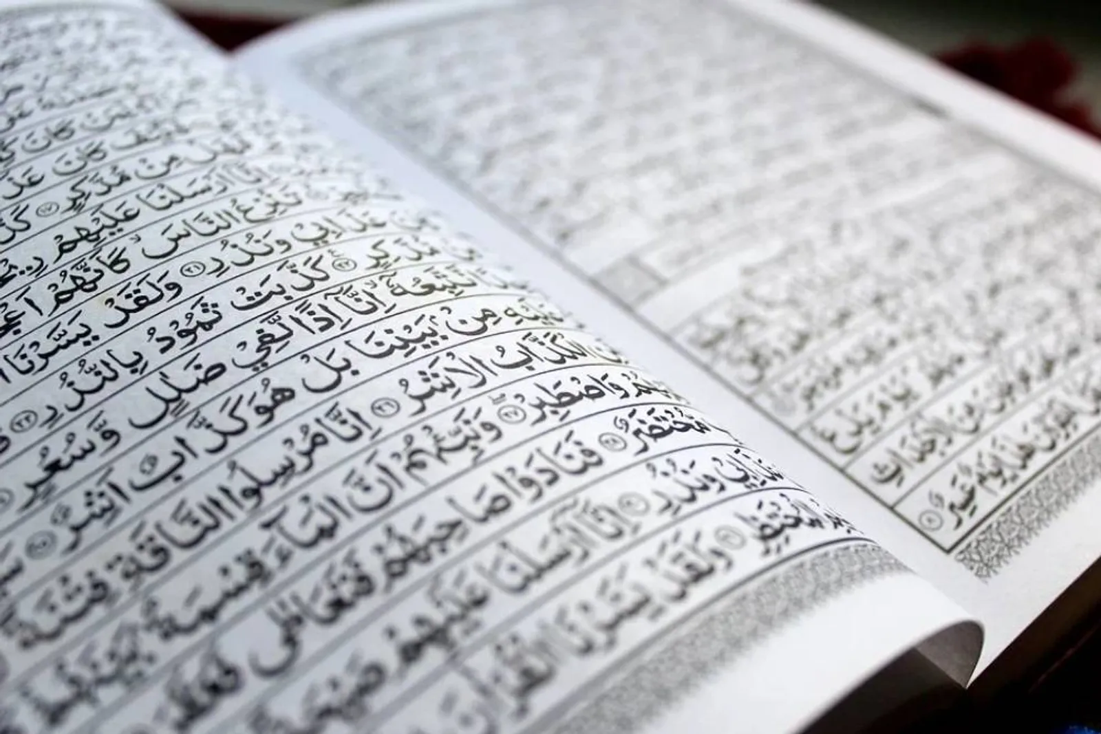 21 Nama Lain Alquran yang Paling Istimewa, Wajib Diketahui Umat Muslim