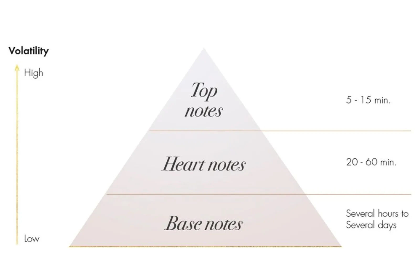 Mengenal Piramida Aroma, Tingkat Wangi Parfum yang Wajib Diketahui