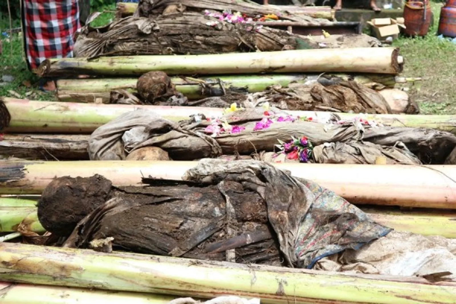11 Potret Tradisi Ngagah, Prosesi Menggali Kuburan di Bali