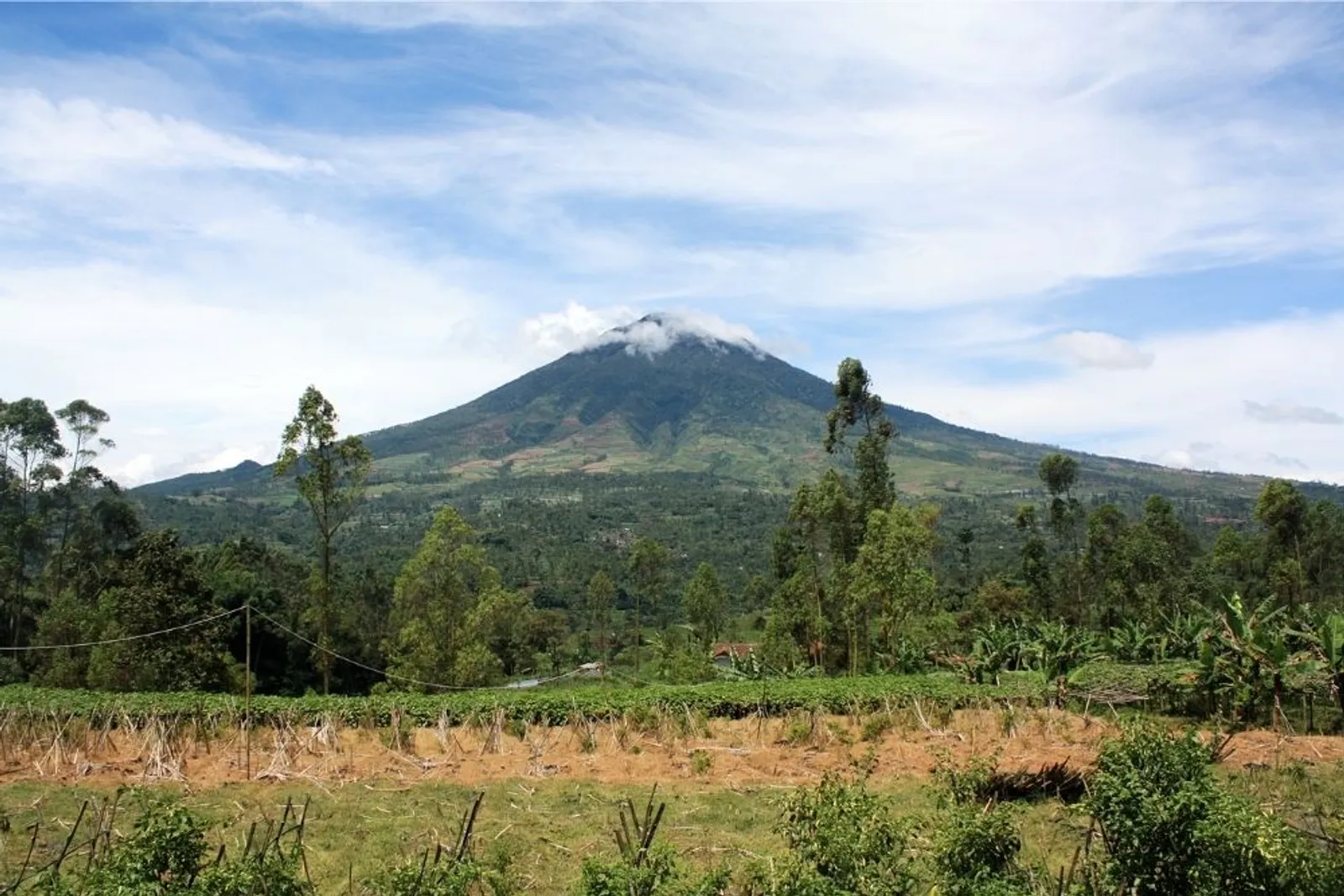 9 Rekomendasi Gunung di Jawa Barat, Cocok untuk Pendaki Pemula
