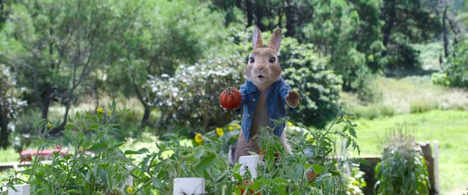 5 Fakta ini Bikin Kamu Penasaran dengan Film 'Peter Rabbit 2'