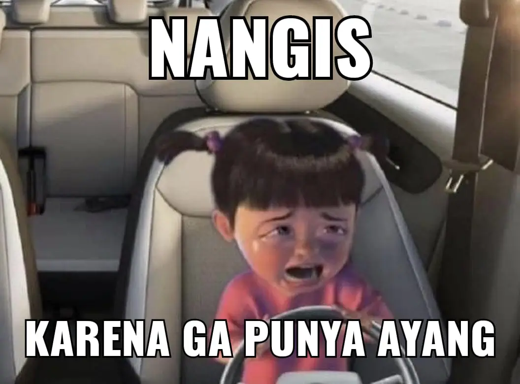 20 Meme Kocak Tentang Ayang, Bikin Ngakak!