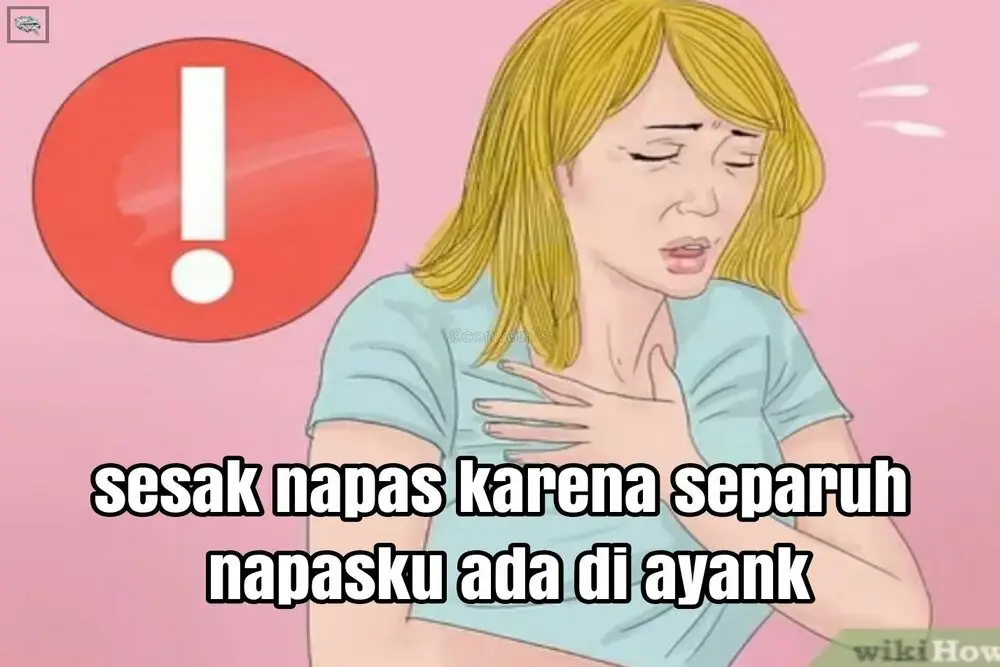 20 Meme Kocak Tentang Ayang, Bikin Ngakak!