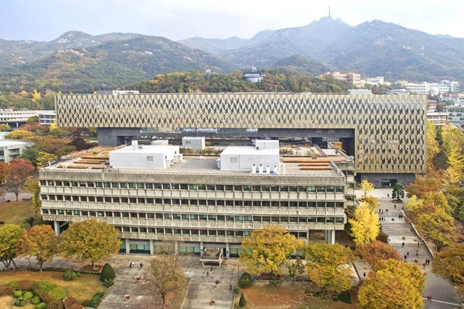 Mau Kuliah di Luar Negeri? Ini 5 Universitas Terbaik di Korea Selatan