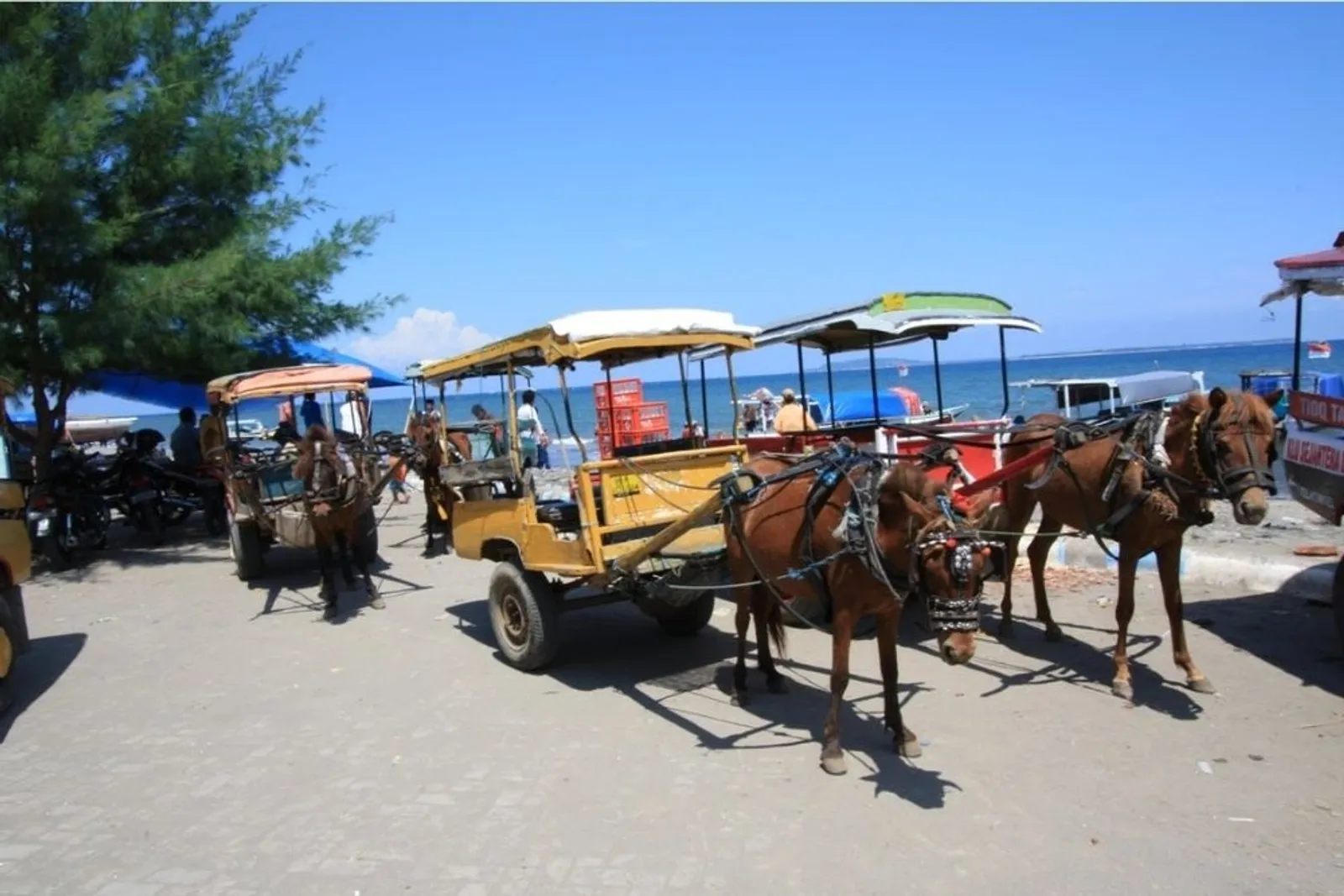 10 Hal Ini Bikin Turis Kaget Saat Liburan di Lombok