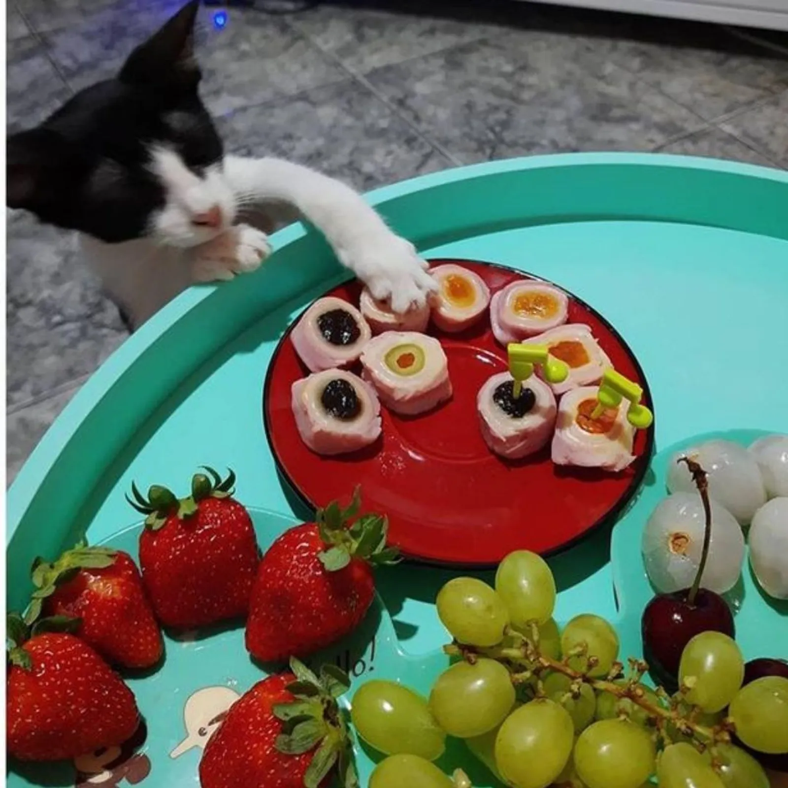 12 Potret Kocak Kucing Pas Rebutan Makanan Sama Manusia