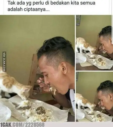 12 Potret Kocak Kucing Pas Rebutan Makanan Sama Manusia