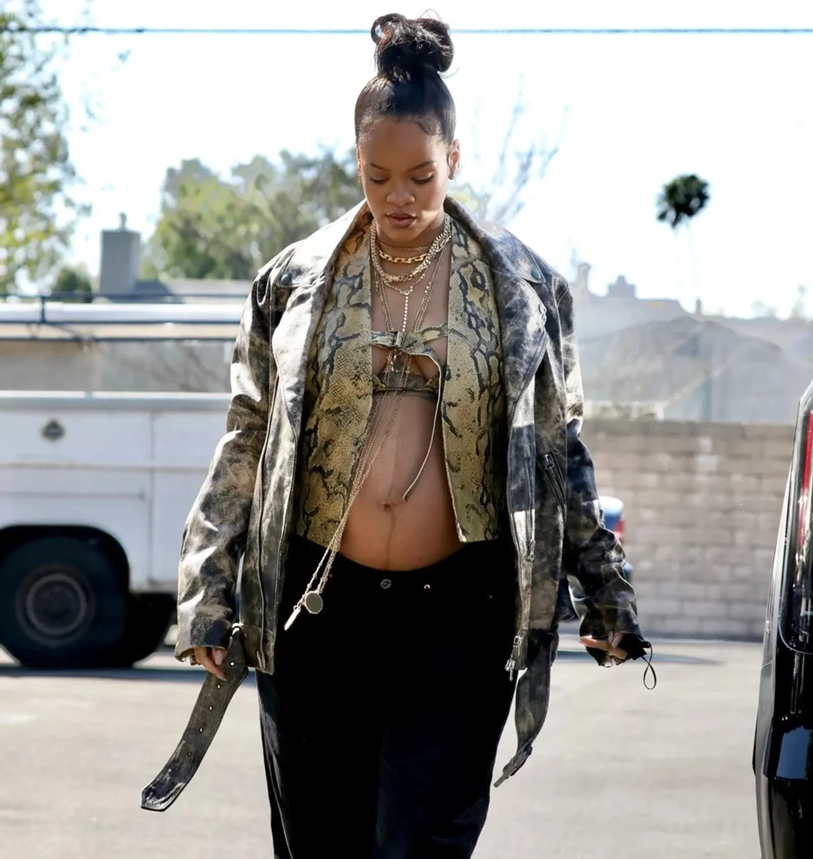 Rihanna Ekspos Tubuh Seksi Dalam Balutan 'Kulit Ular'