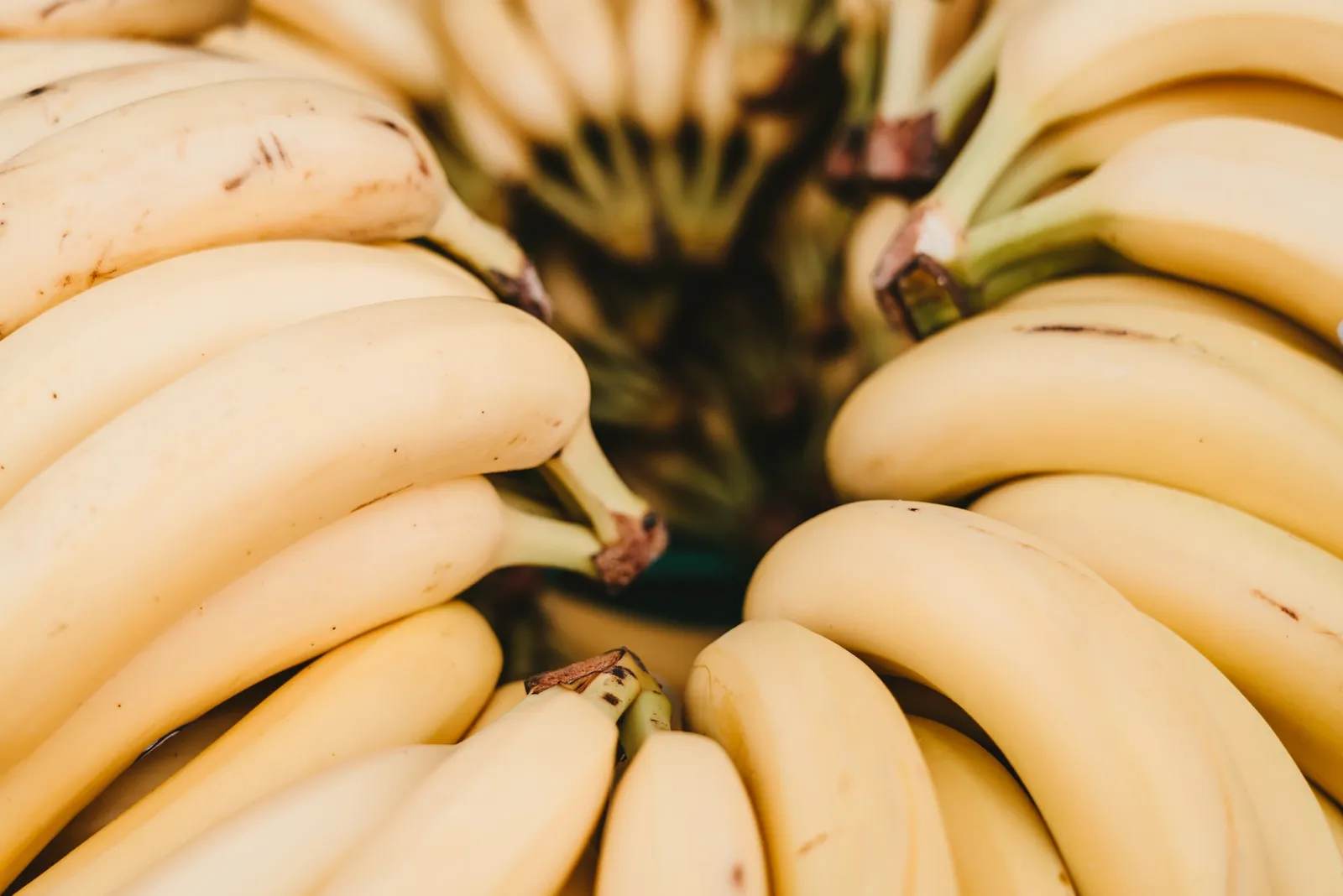 Jangan Langsung Dibuang, ini 5 Manfaat Kulit Pisang untuk Tanaman Hias