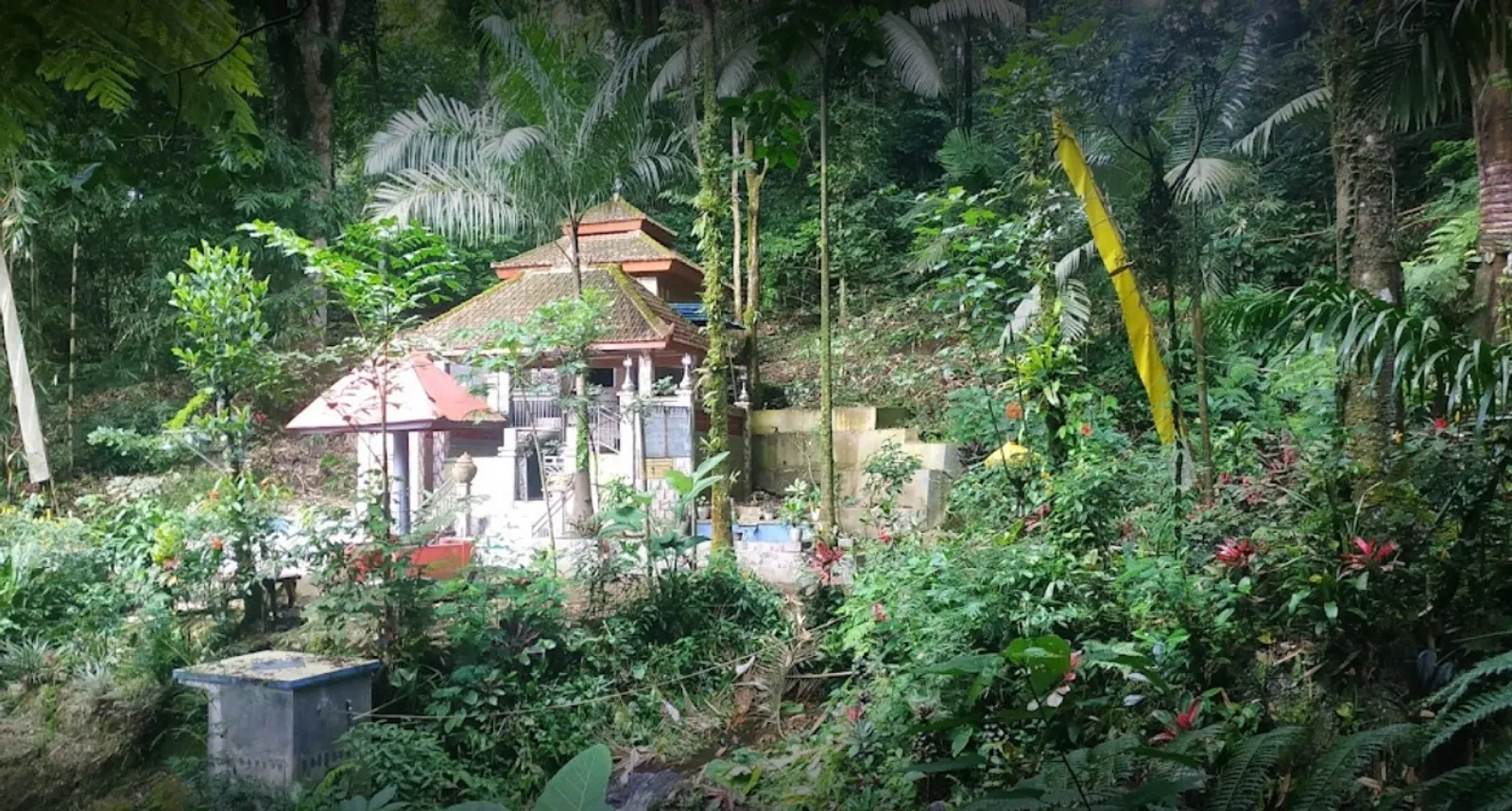 Rowo Bayu, Lokasi Asli KKN di Desa Penari dan Kisah Aslinya