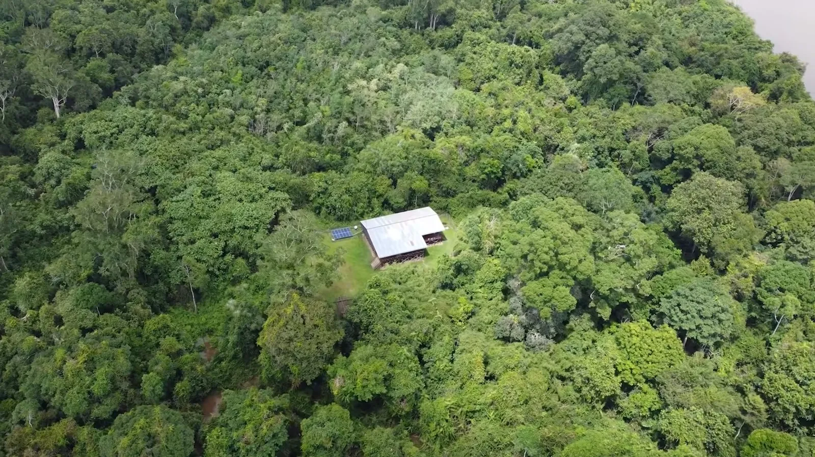 10 Hal yang Perlu Kamu Tahu Tentang Tarzan Indonesia, Andrew Kalaweit